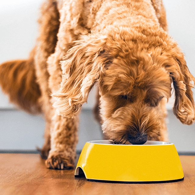 Odpowiednie odżywianie