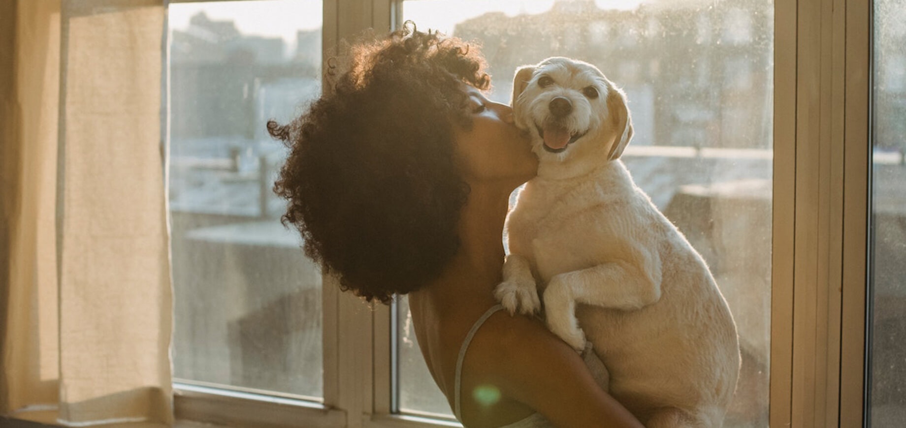 kobieta trzymająca białego psa na rękach na tle okna