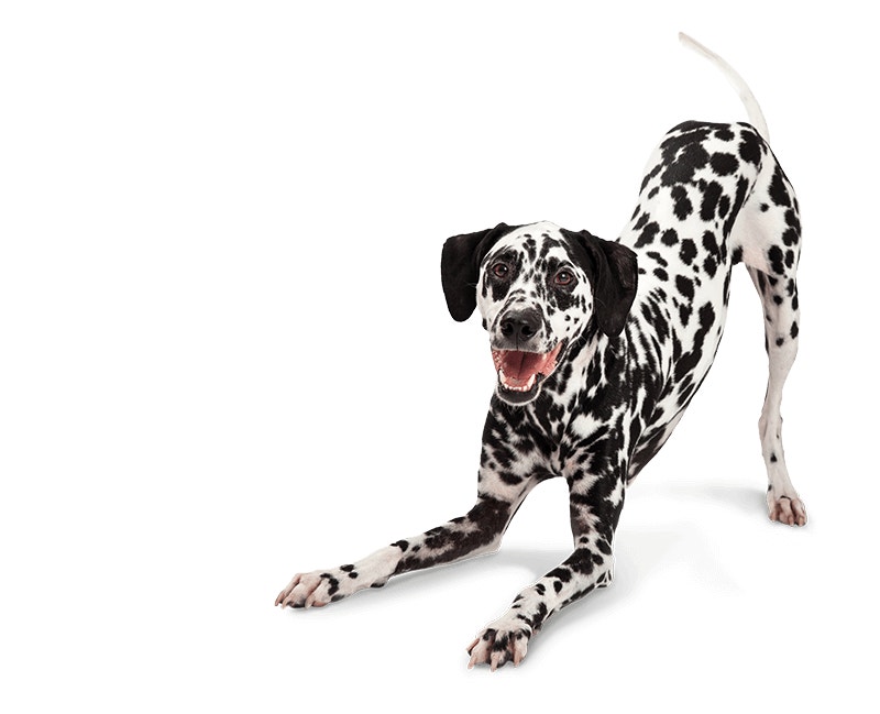 Joint care background