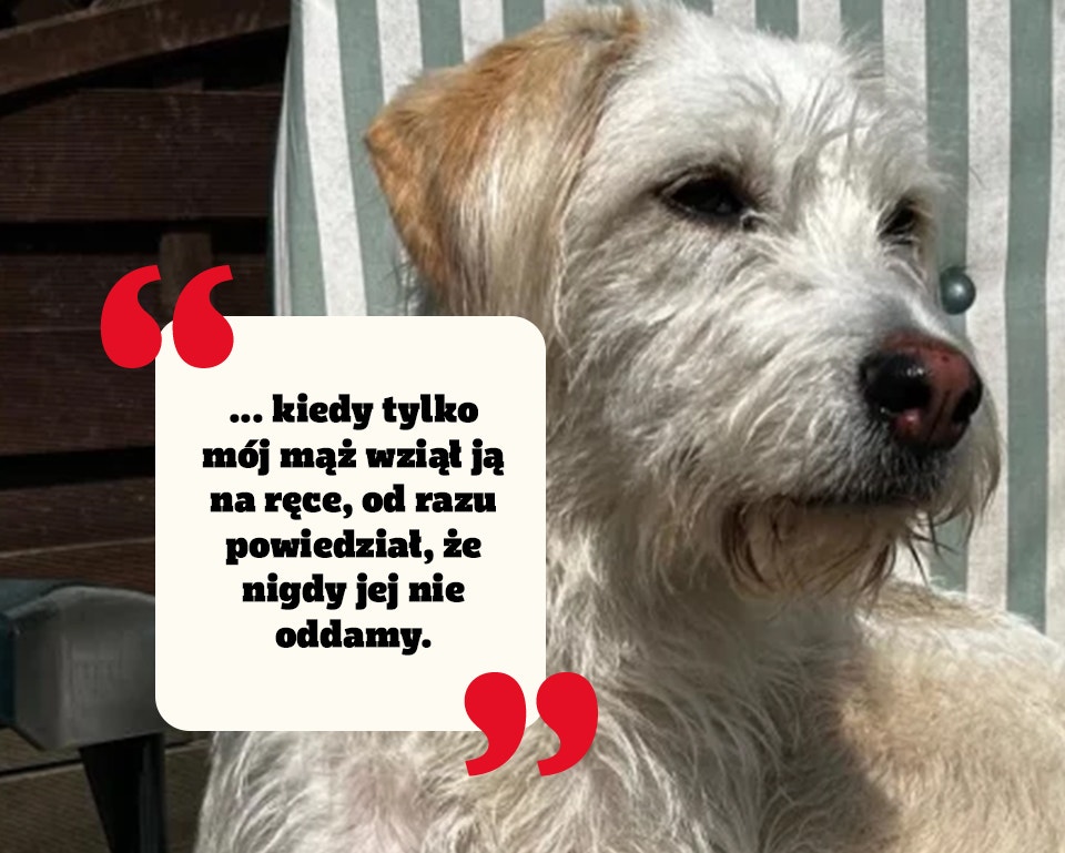 Adoptuj swojego nowego najlepszego przyjaciela