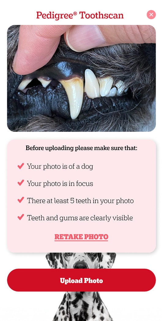 Pedigree Zrób zdjęcie