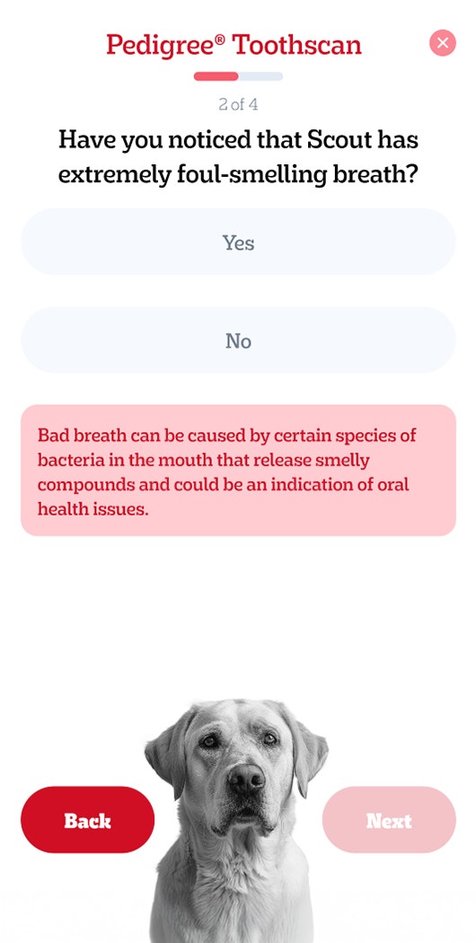 Pedigree Odpowiedz na pytania